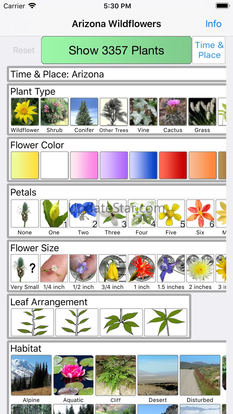 Arizona Wildflowers 9.1