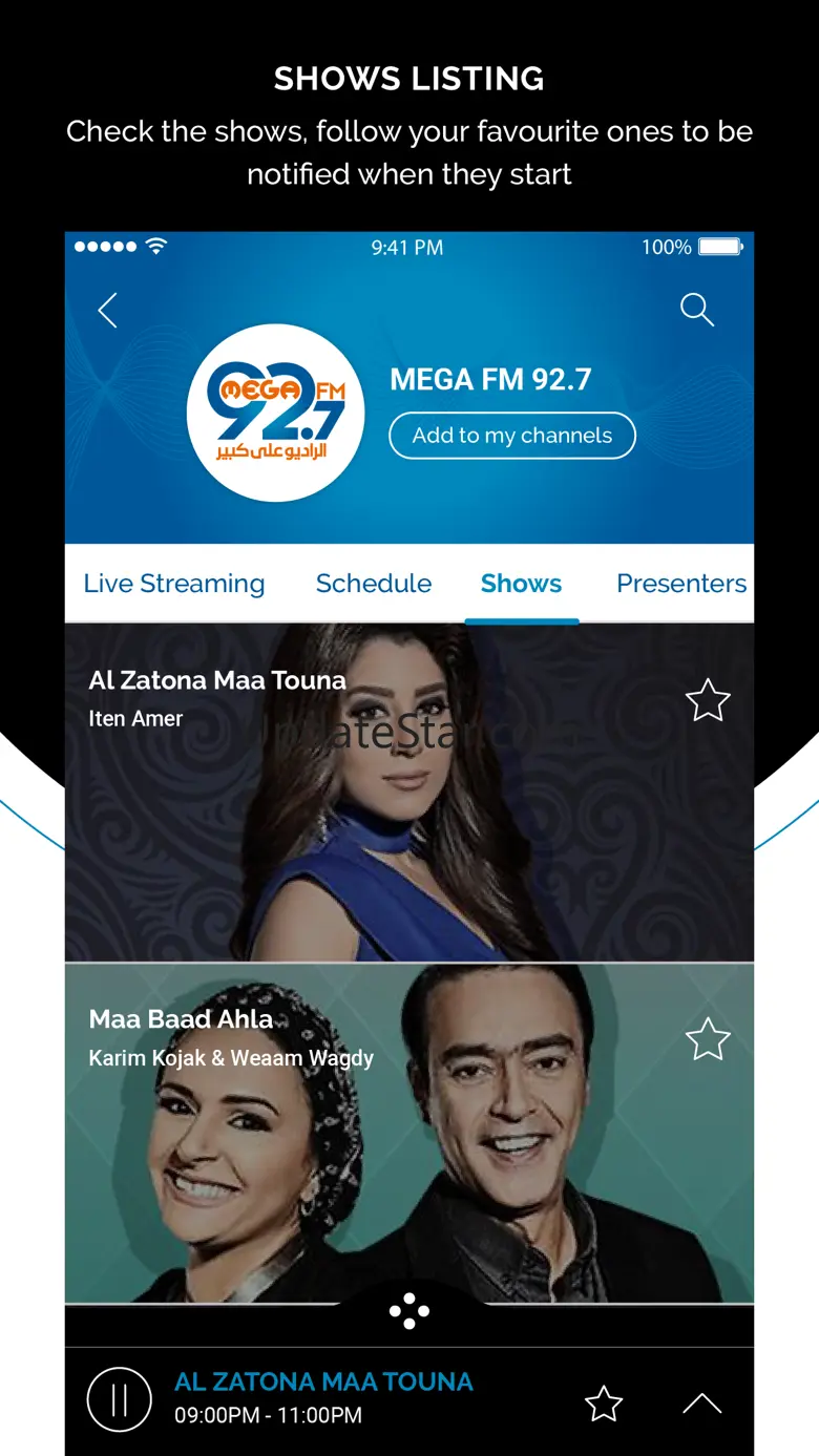 Nile Radio Company 1.26