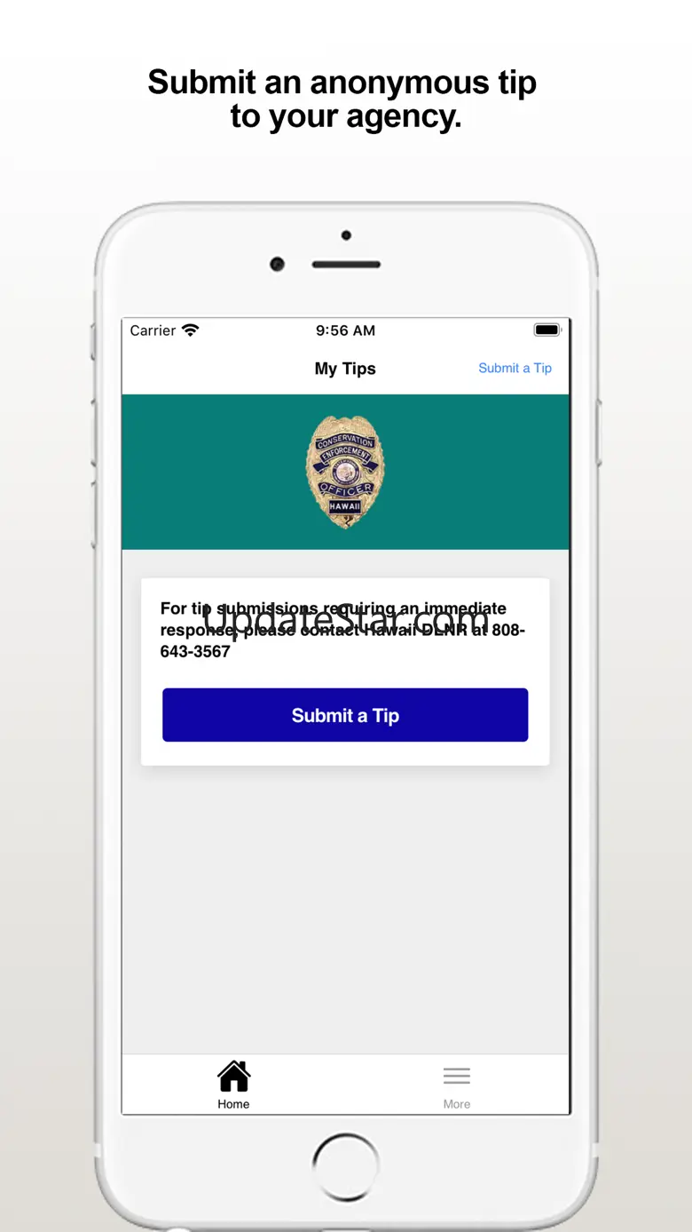 DLNRTip 3.2