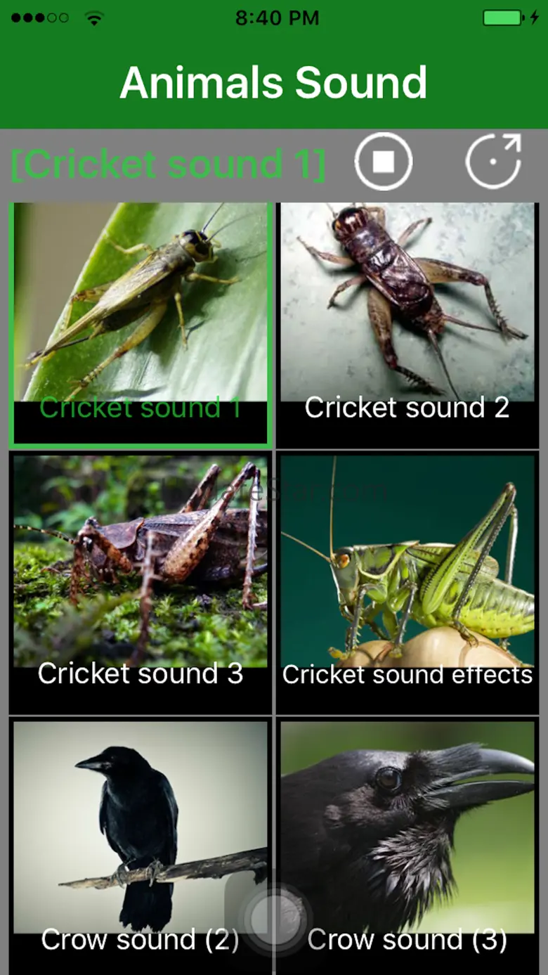Animals Sound - Animal Sound Effects Free 1.0