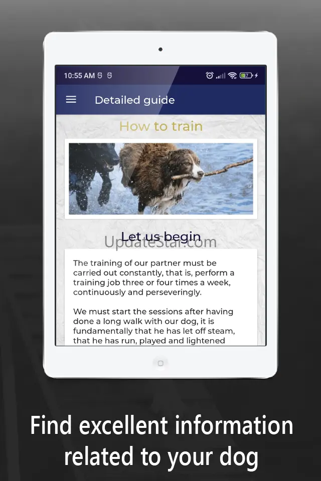 dog training guide train a dog 1.17