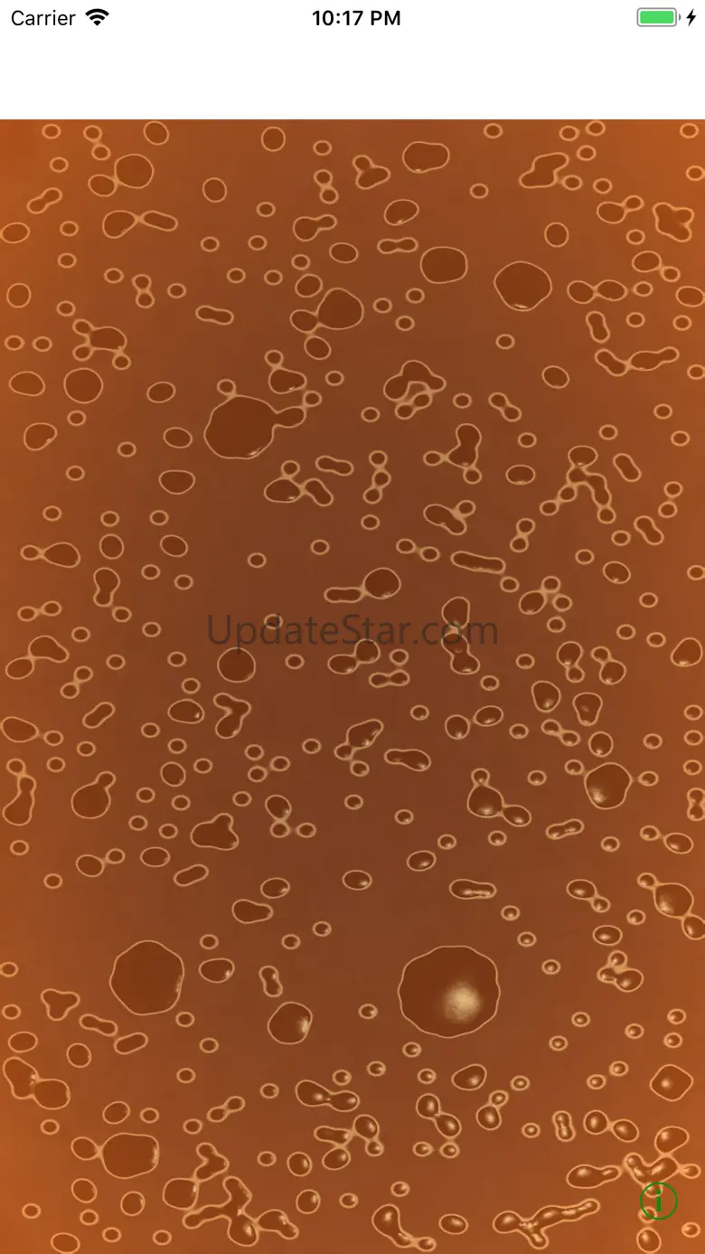 Ramen Soup Simulator 1.0.2
