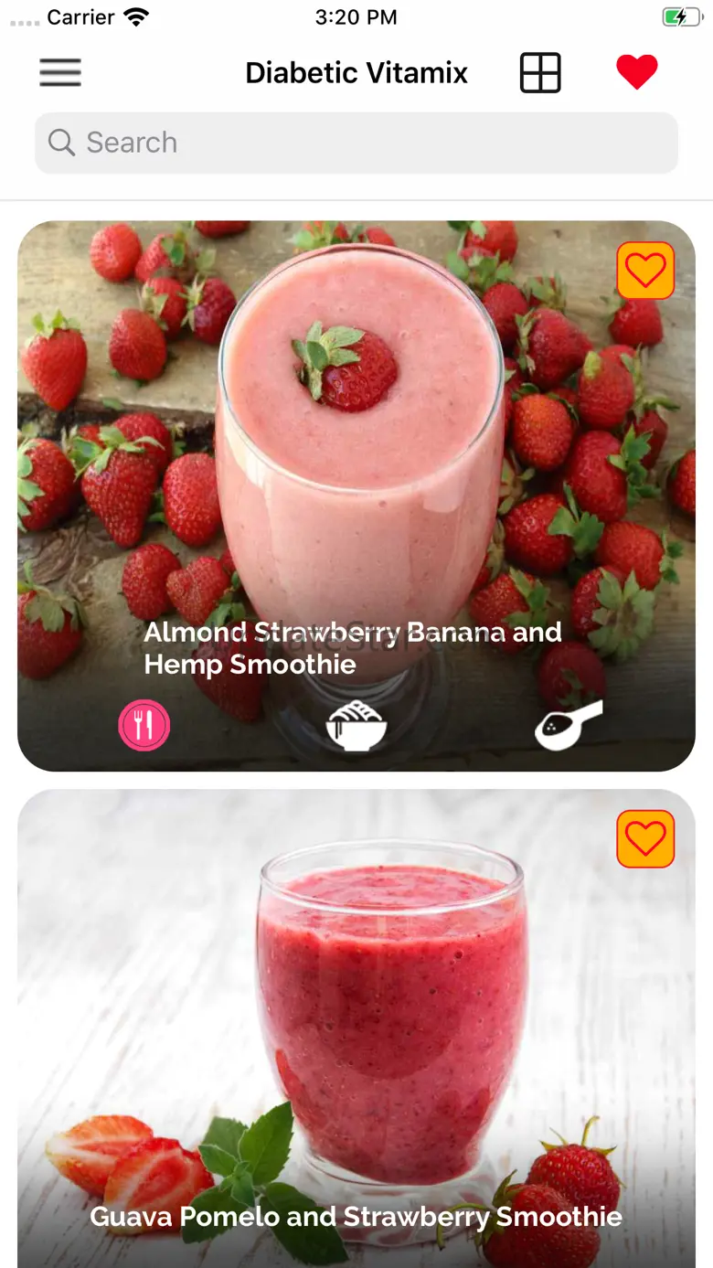 Diabetic Vitamix Recipes 1.1