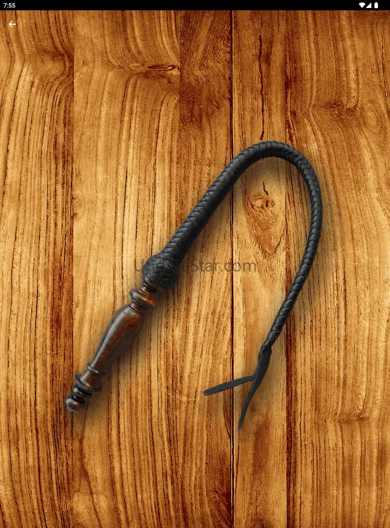 Whip Simulator - Pocket Whip 1.0.1