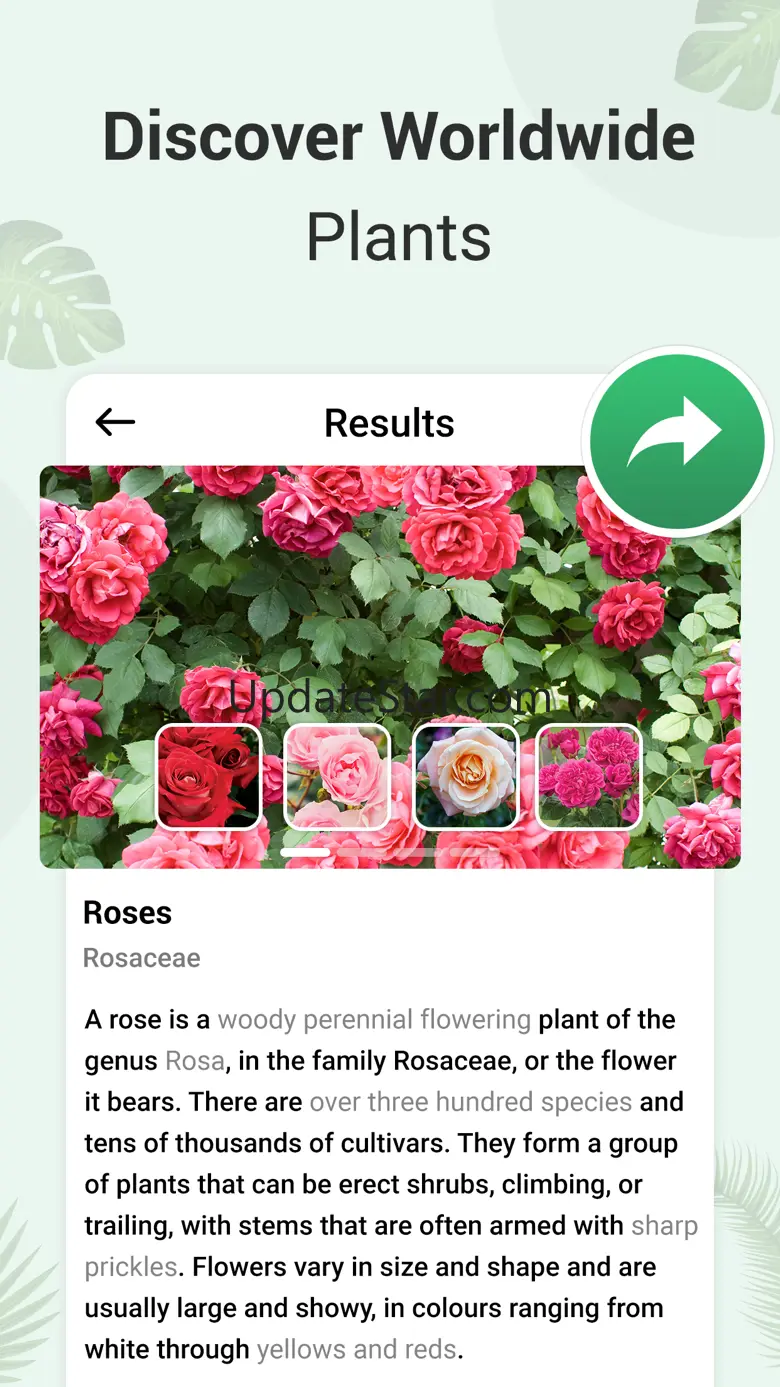 Plant Identifier and info 2.0