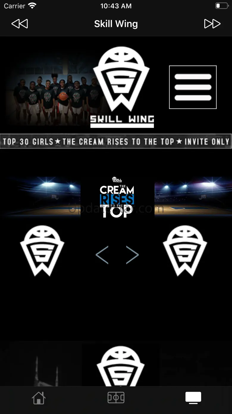 Skill Wing 1.3.1