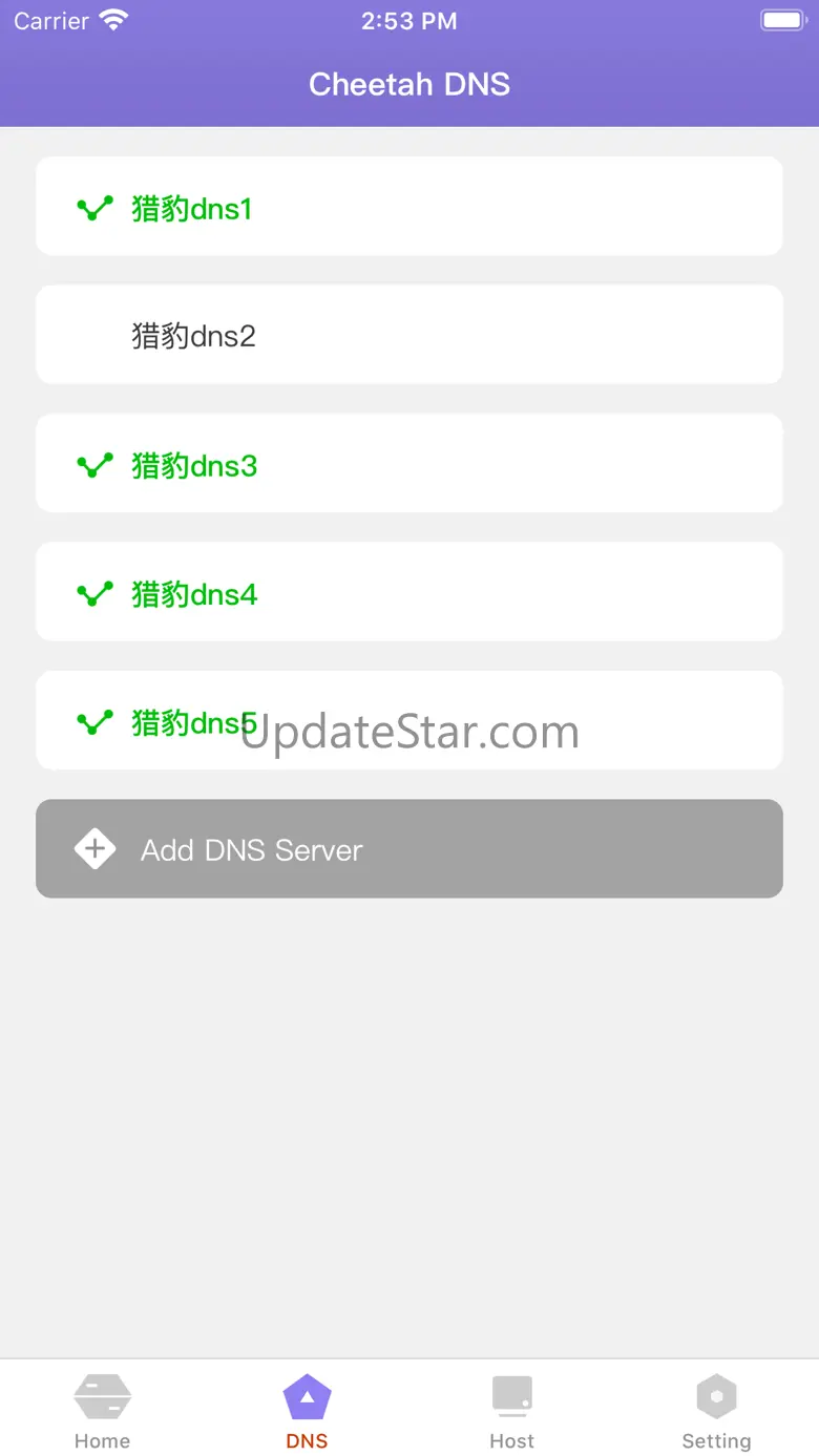 ChetahDNS 1.5.1