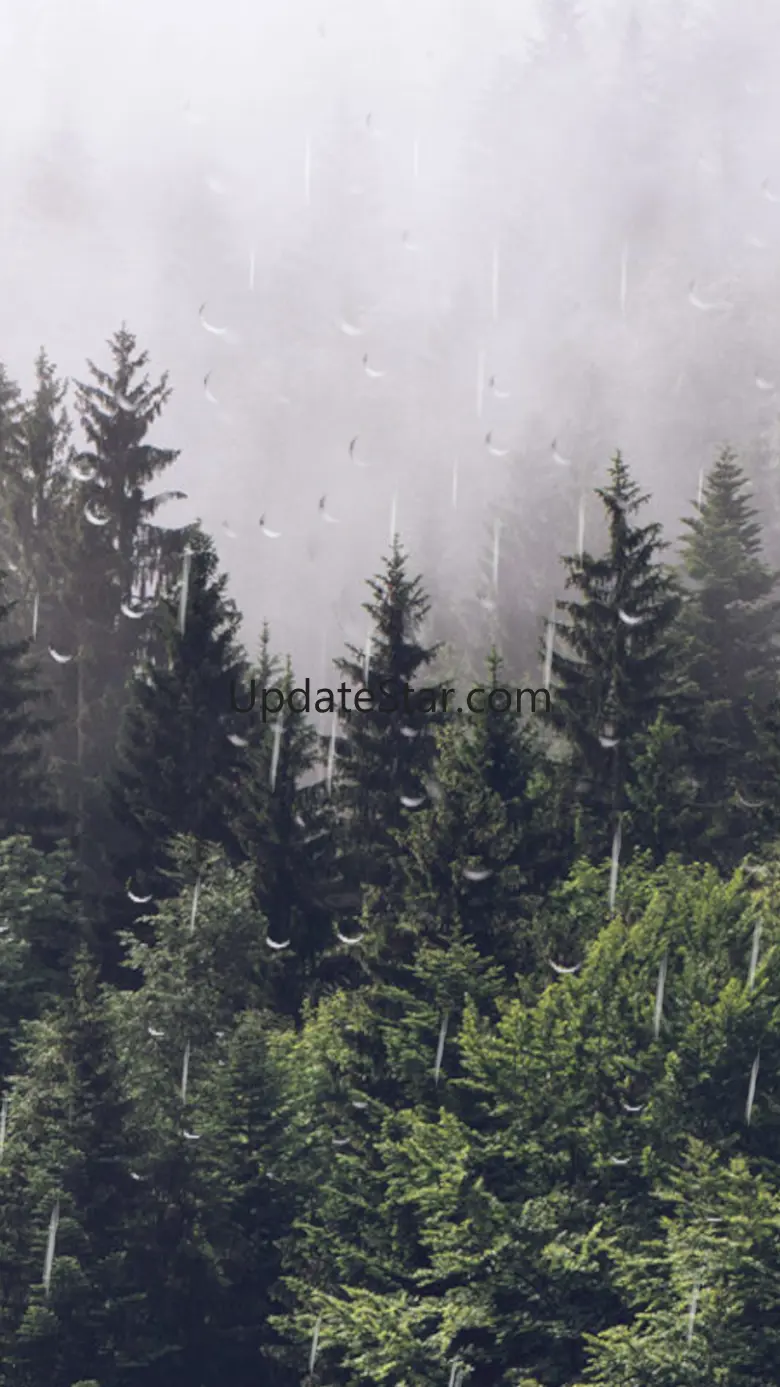 Rain Calm Meditation 1.4