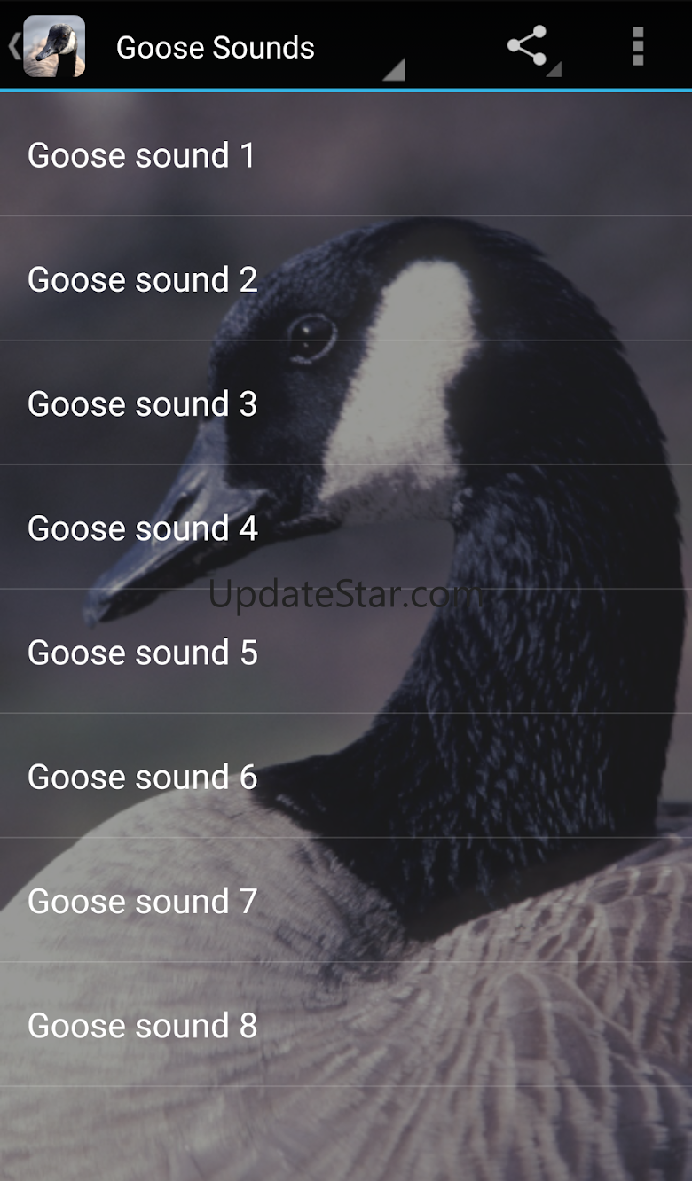 Goose Sounds 1.2