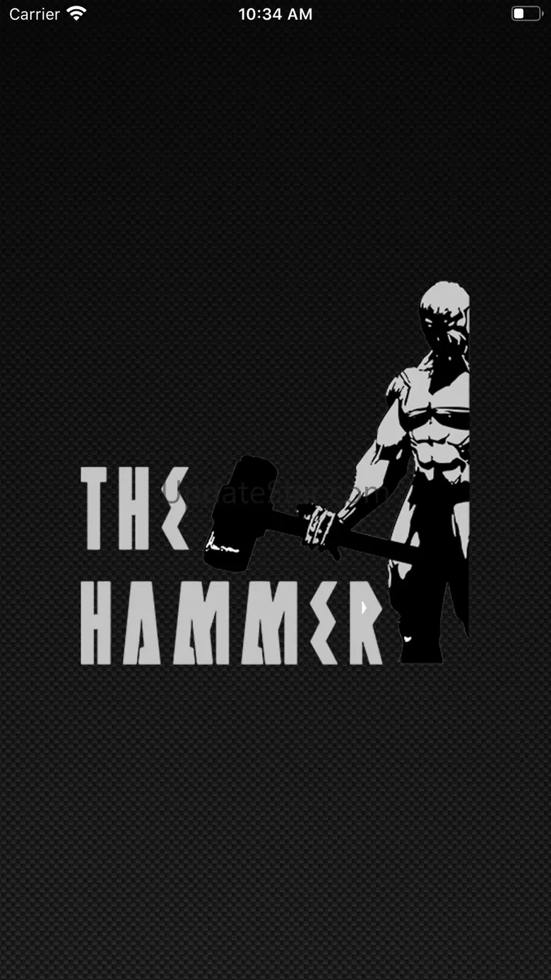 Hammer MV 1.0