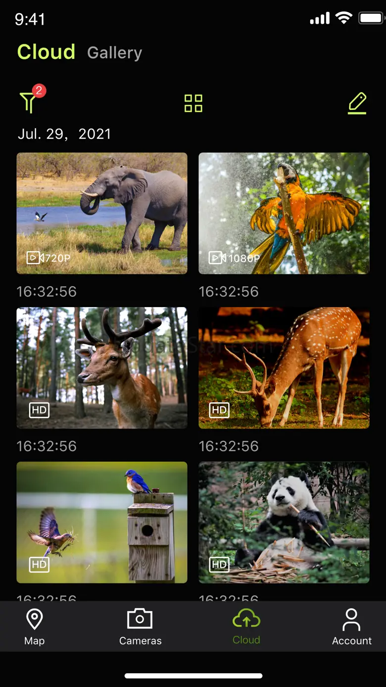BigfootCloud Cam 3.0.5