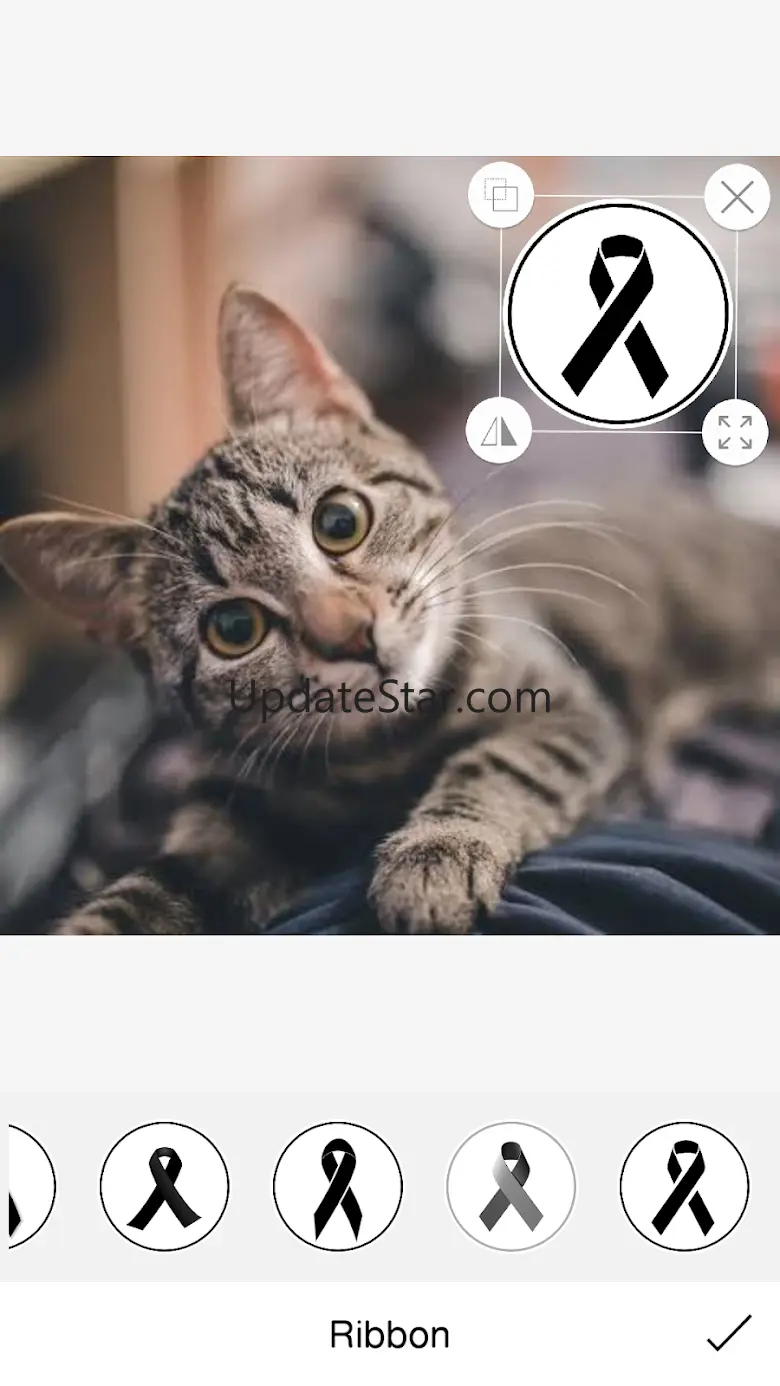 Black Ribbon 1.1