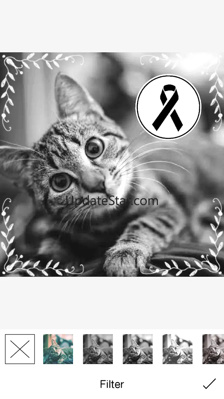 Black Ribbon 1.1