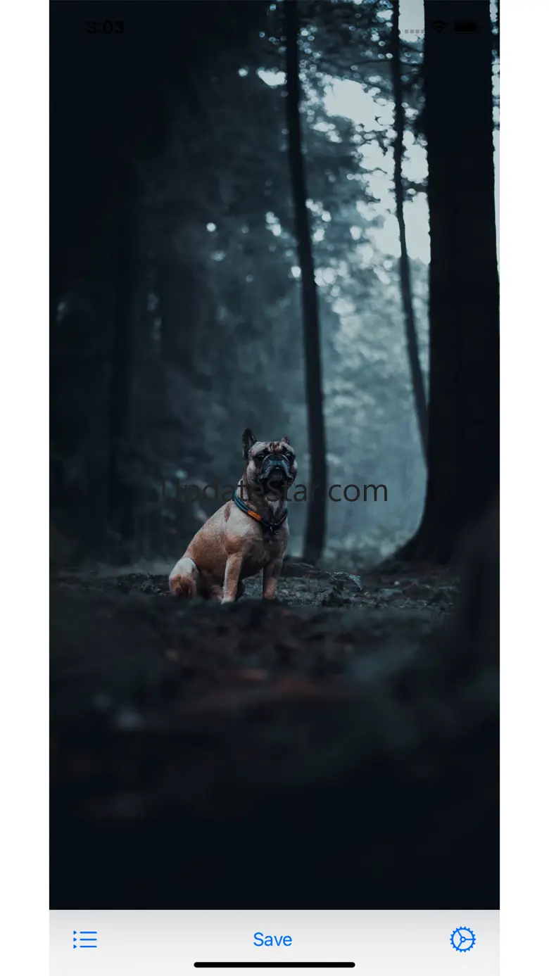 Wallpapers for your phone 2.113