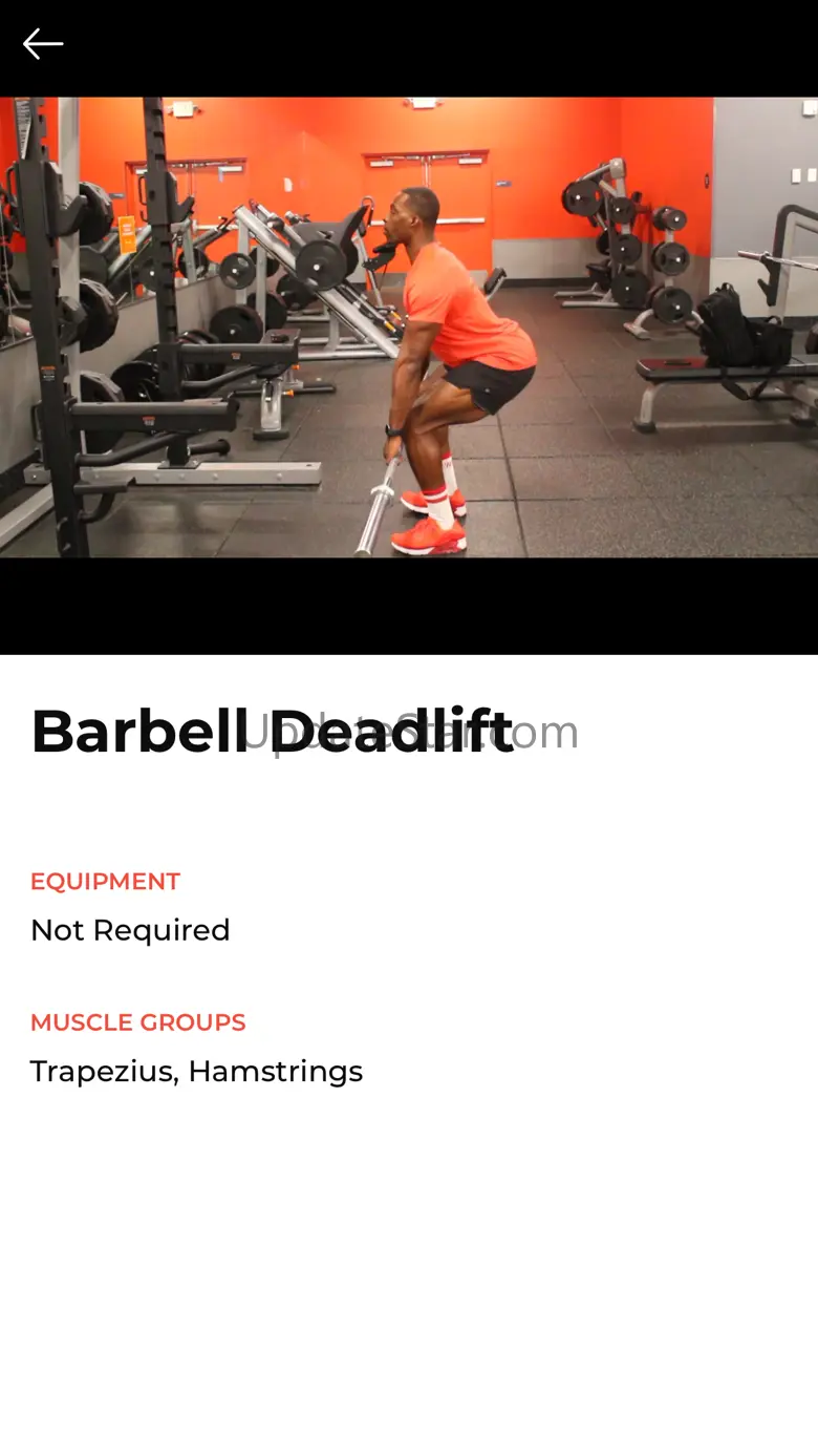 Mike Salley’s You Train 2.1