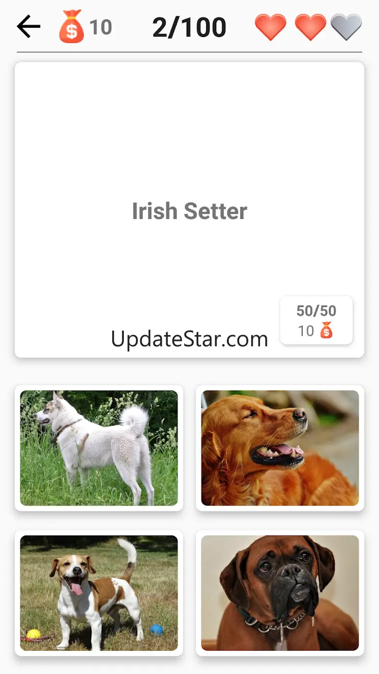 Dog Breeds - Quiz about dogs! 1.991