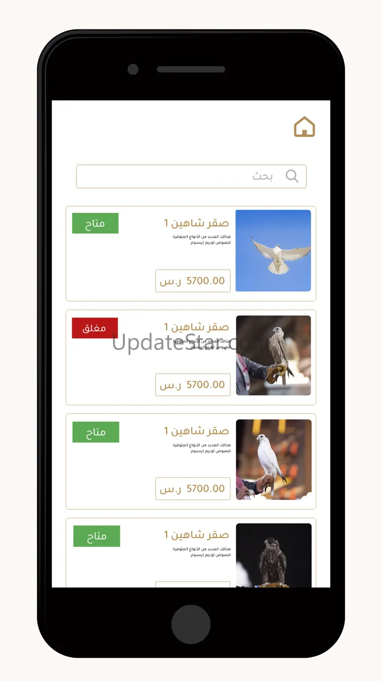 Saudi Falcons Club 1.7