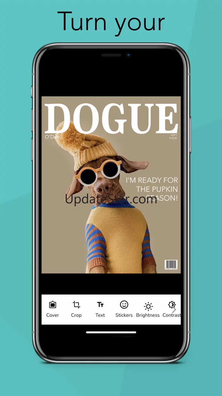 Coverdogs 3